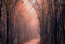 海港3-3绝平西海岸集锦：19岁新星精彩破门造三球颜骏凌超巨失误.