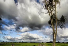 [德甲]第10轮：弗赖堡3-3门兴格拉德巴赫 集锦.