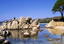 王钰栋造乌龙+处子球布彭扎双响 浙江4-0三镇.